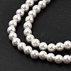 Electroplated Shell Pearl Beads Strands X-BSHE-K017-4mm-3