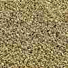 TOHO 11/0 Round Beads SEED-TR11-PF0557-2