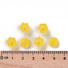 Transparent Acrylic Beads Caps PL543-2-5