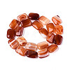 Natural Agate Beads Strands G-N356-03A-16-3