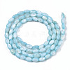 Natural Freshwater Shell Beads Strands SHEL-N003-25-B02-2