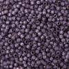 TOHO Round Seed Beads X-SEED-TR08-PF2108-2