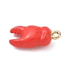 Alloy Enamel Pendants LS-ENAM-F156-06G-02-2