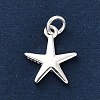 925 Sterling Silver Charms FIND-Z069-04S-A-2