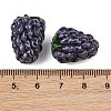 Handmade Lampwork Beads LAMP-U004-07H-4