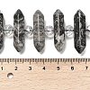 Natural Map Stone Double Terminated Point Beads Strands G-H069-B09-01-5