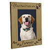 Natural Wood Photo Frames AJEW-WH0292-047-1