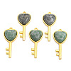 Natural Green Spot Jasper Pendants G-N326-158-13-1