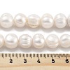 Natural Cultured Freshwater Pearl Beads Strands PEAR-C003-21B-5