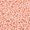 8/0 Opaque Glass Seed Beads X1-SEED-S048-N-013-3