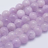 Natural Kunzite Beads Strands G-L478-14-8mm-1