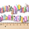 Dyed Natural Trochus Shell Beads Strands X-SSHEL-C013-09G-4
