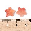 Imitation Candy Food Style Resin Cabochons RESI-R461-02B-3