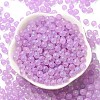 Luminous Glow in the Dark Transparent Glass Round Beads GLAA-F124-B01-4