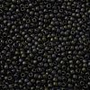 TOHO Round Seed Beads SEED-XTR11-0083F-2