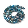 Natural Apatite Beads LS-G-E481-05-8mm-01-3