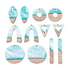 12Pcs 6 Styles Opaque Resin & Ash Wood Pendants RESI-N053-12-1