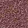 TOHO Round Seed Beads X-SEED-TR08-0026-2