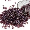 TOHO 8/0 Round Beads X-SEED-TR08-0166B-1