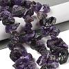 Natural Amethyst Beads Strands G-Q023-G01-01-2