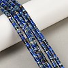 Natural Imperial Jasper Beads Strands G-Q171-A01-01M-2
