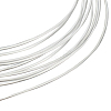 925 Sterling Silver Wire FIND-BBC0002-89D-1