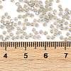 MIYUKI Round Rocailles Beads X-SEED-G007-RR2433-3