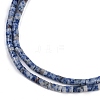 Natural Blue Spot Jasper Beads Strands G-H230-56-4