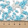 Glass Seed Beads SEED-L011-04A-18-4