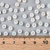 6/0 Glass Seed Beads SEED-N008-07M-4