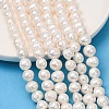 Natural Cultured Freshwater Pearl Beads Strands PA-CBABE82-11B-1