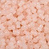 Transparent Colours Glass Seed Beads SEED-R001-01B-2