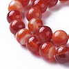 Natural Red Agate Beads Strands G-P434-09C-C-3