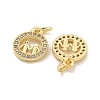 Brass Micro Pave Clear Cubic Zirconia Charms KK-Z044-34G-2