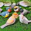 Wooden American Robin Birds and Block Ornaments JX688A-6