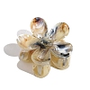 Gradient Color Plastic Claw Hair Clips LS-PW-WGBEE53-06-1