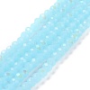 Electroplate Glass Beads Strands EGLA-A044-J2mm-L04-1