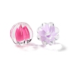 Transparent Acrylic Beads LS-OACR-H112-04A-2