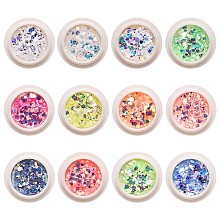 Holographic Nail Glitter Powder Flakes MRMJ-T063-361-M