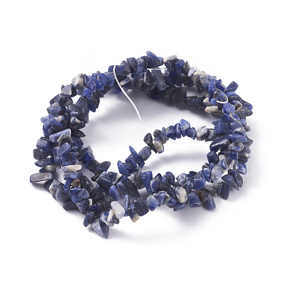 Natural Sodalite Beads Strands G-G782-31-1