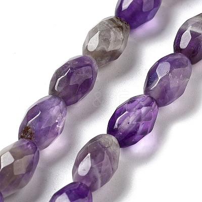Natural Amethyst Beads Strands G-P520-C02-01-1