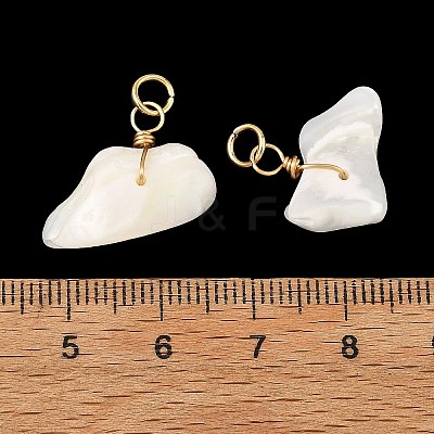 Natural Shell Pendants PALLOY-JF05923-1