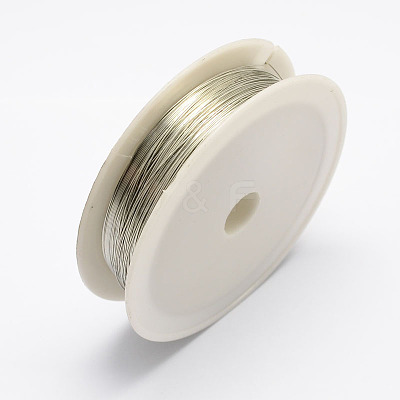 Round Iron Wire MW-R001-0.3mm-07-1
