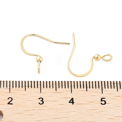 316 Surgical Stainless Steel Earring Hooks X-STAS-K274-10G-1