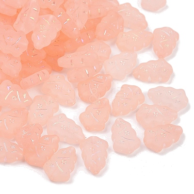 Frosted Transparent Acrylic Beads X1-OACR-P029-04B-03-1