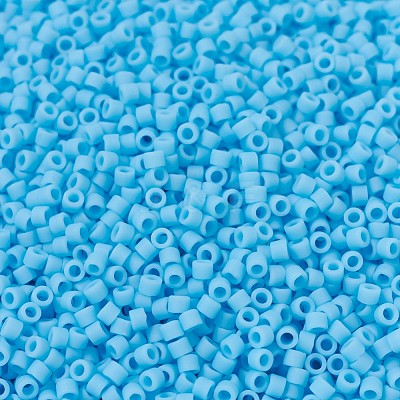 MIYUKI Delica Beads X-SEED-J020-DB0755-1