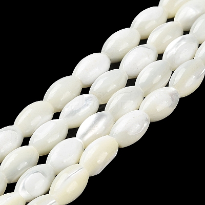 Natural Trochus Shell Beads Strands BSHE-E030-02B-1