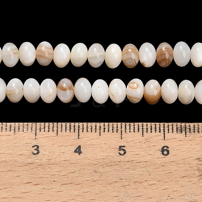 Natural Freshwater Shell Beads Strands SHEL-C010-04A-01-1