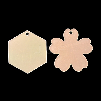 Acrylic Pendants OACR-B009-01C-1