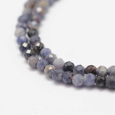 Natural Sapphire Gemstone Beads Strands G-K182-2mm-22A-1